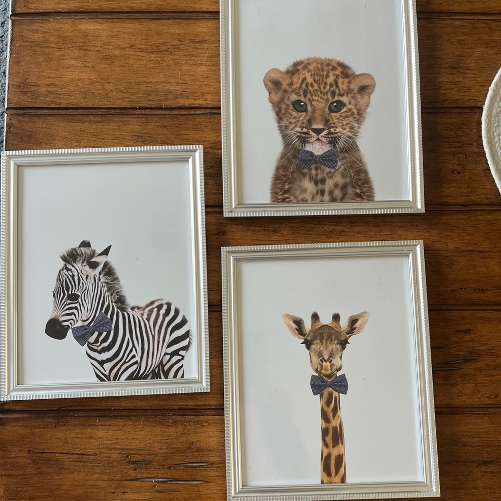 The Best neutral animal pics.